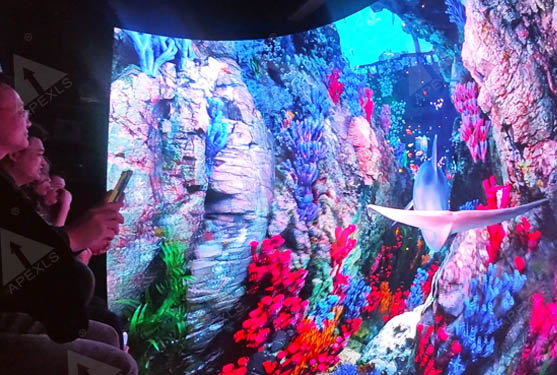 Shenzhen Houlang New World LED Dome Dynamic Theater